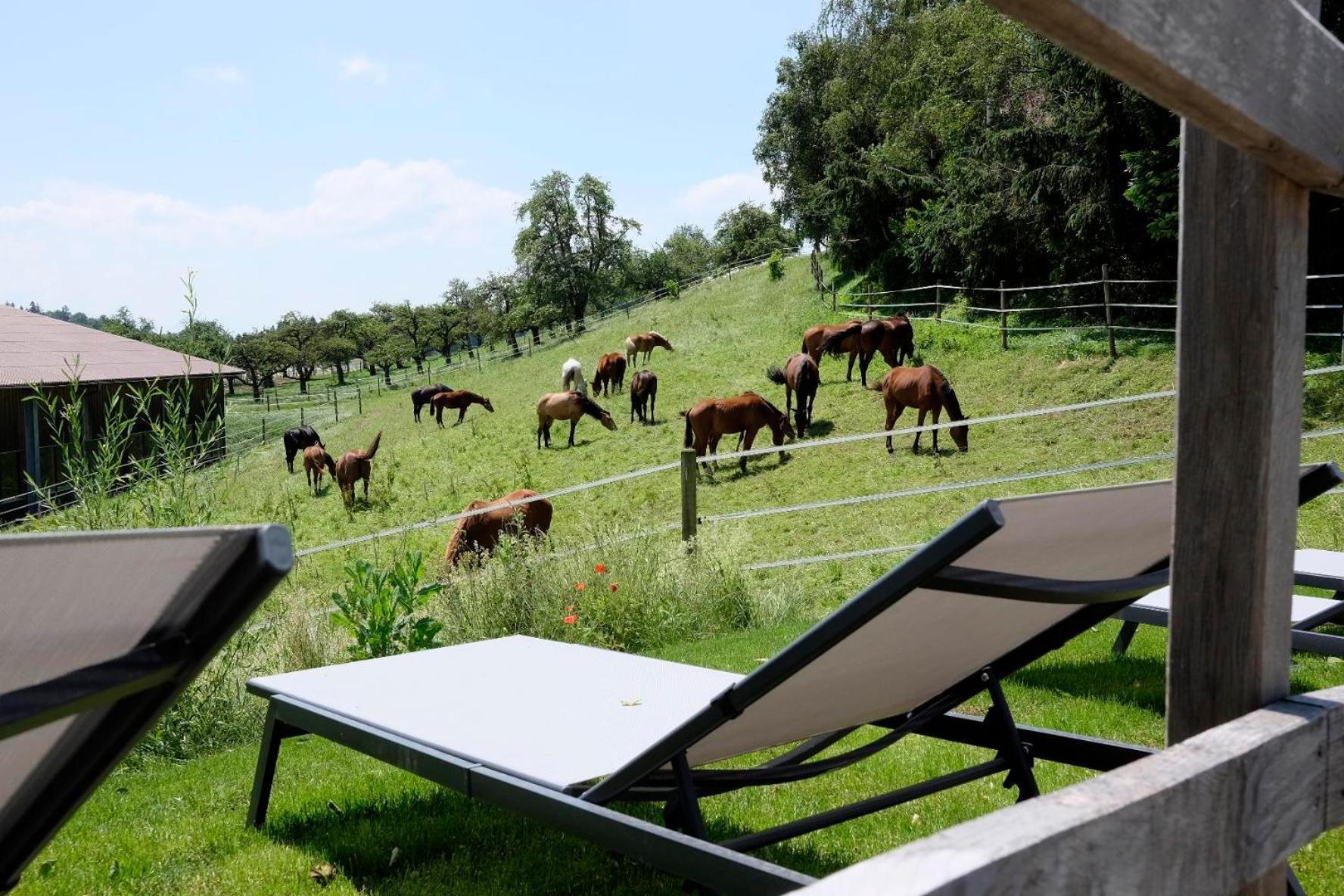 Trautesheim Ferienwohnungen Wangen im Allgäu Exterior foto