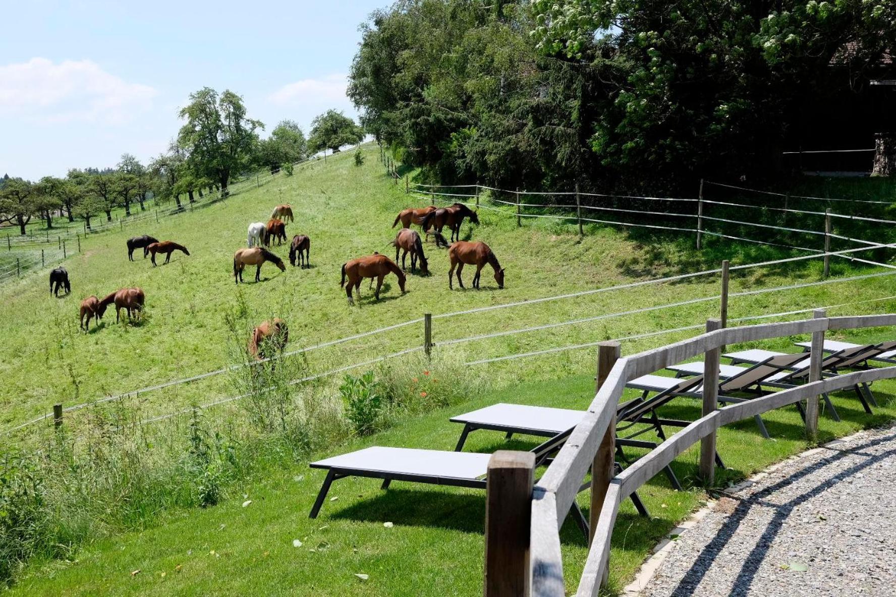 Trautesheim Ferienwohnungen Wangen im Allgäu Exterior foto